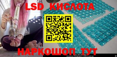 прущие грибы Абакан