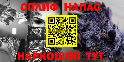 прущие грибы Абинск