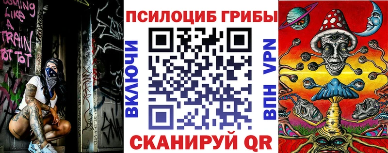 блэк спрут tor  Шахты  Галлюциногенные грибы ЛСД 