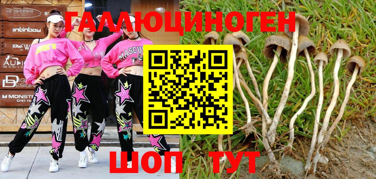 Галлюциногенные грибы Magic Shrooms Шахты