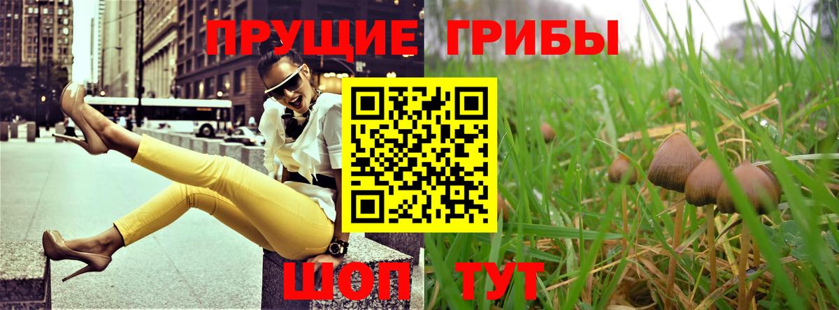 Псилоцибиновые грибы ЛСД Шахты